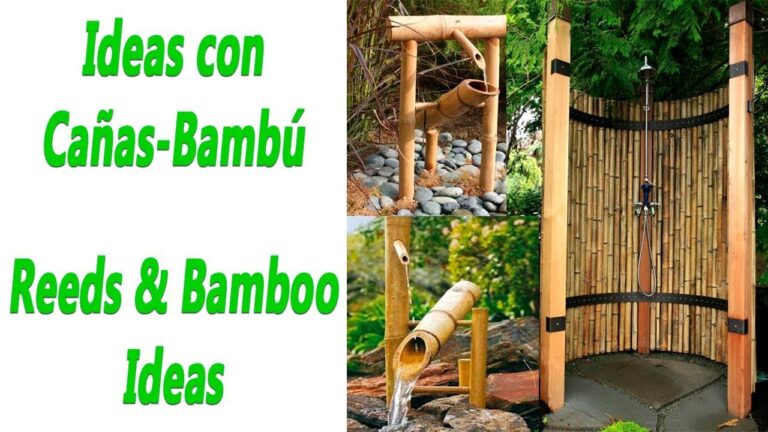 Canas de bambú verdes: La tendencia perfecta para decorar